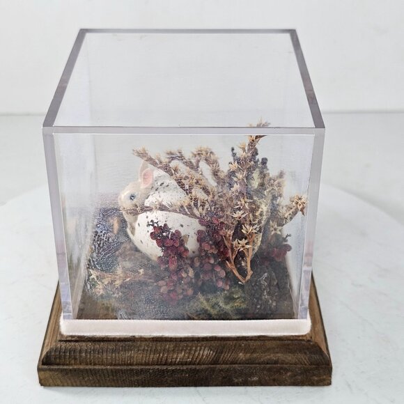 Decorative Glass Display Cube Hagen Renaker Pink Bunny Figurine Egg Dried Plants - Picture 4 of 9